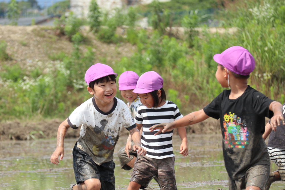 ta26-5