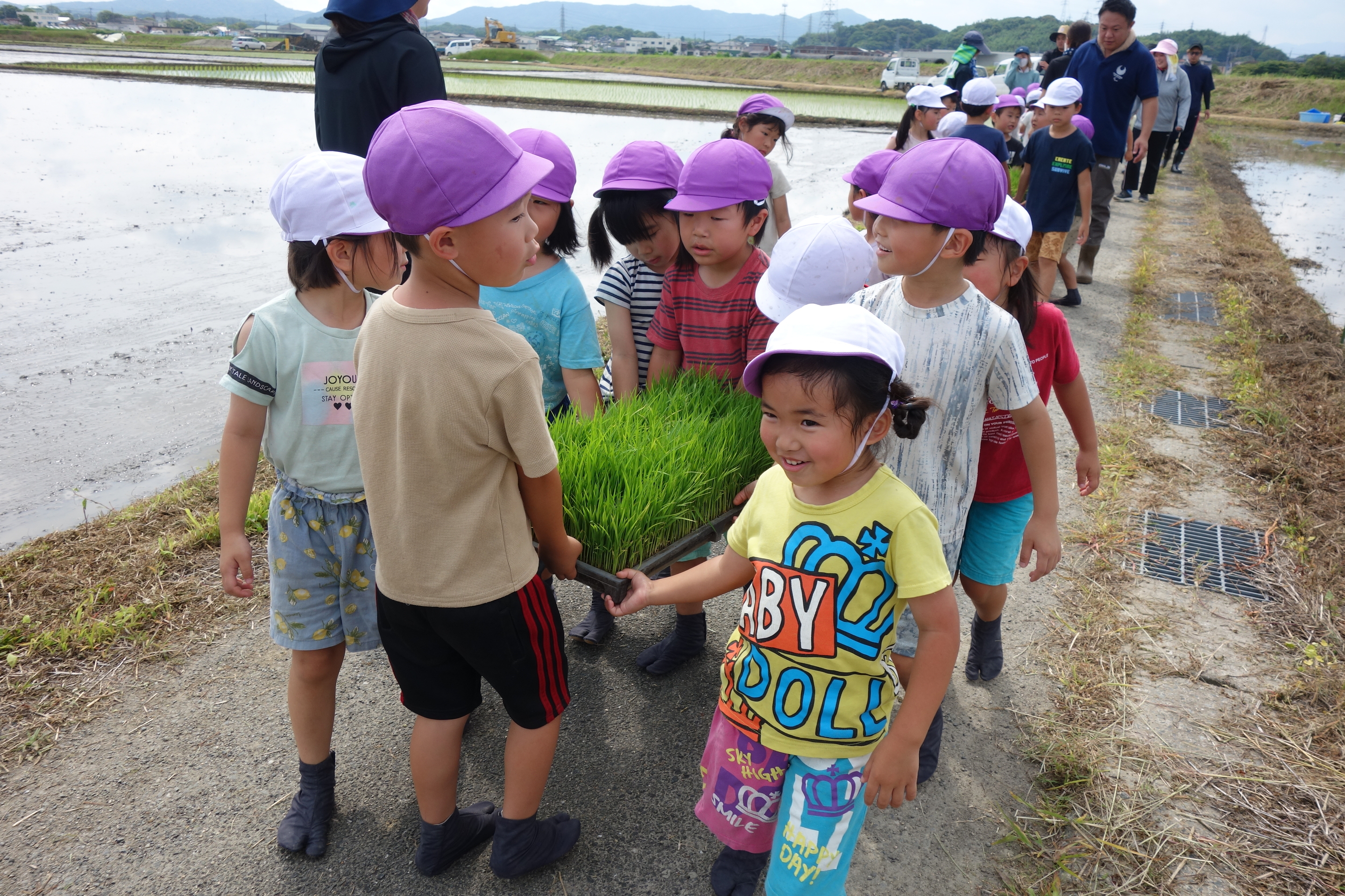 田植え23-2