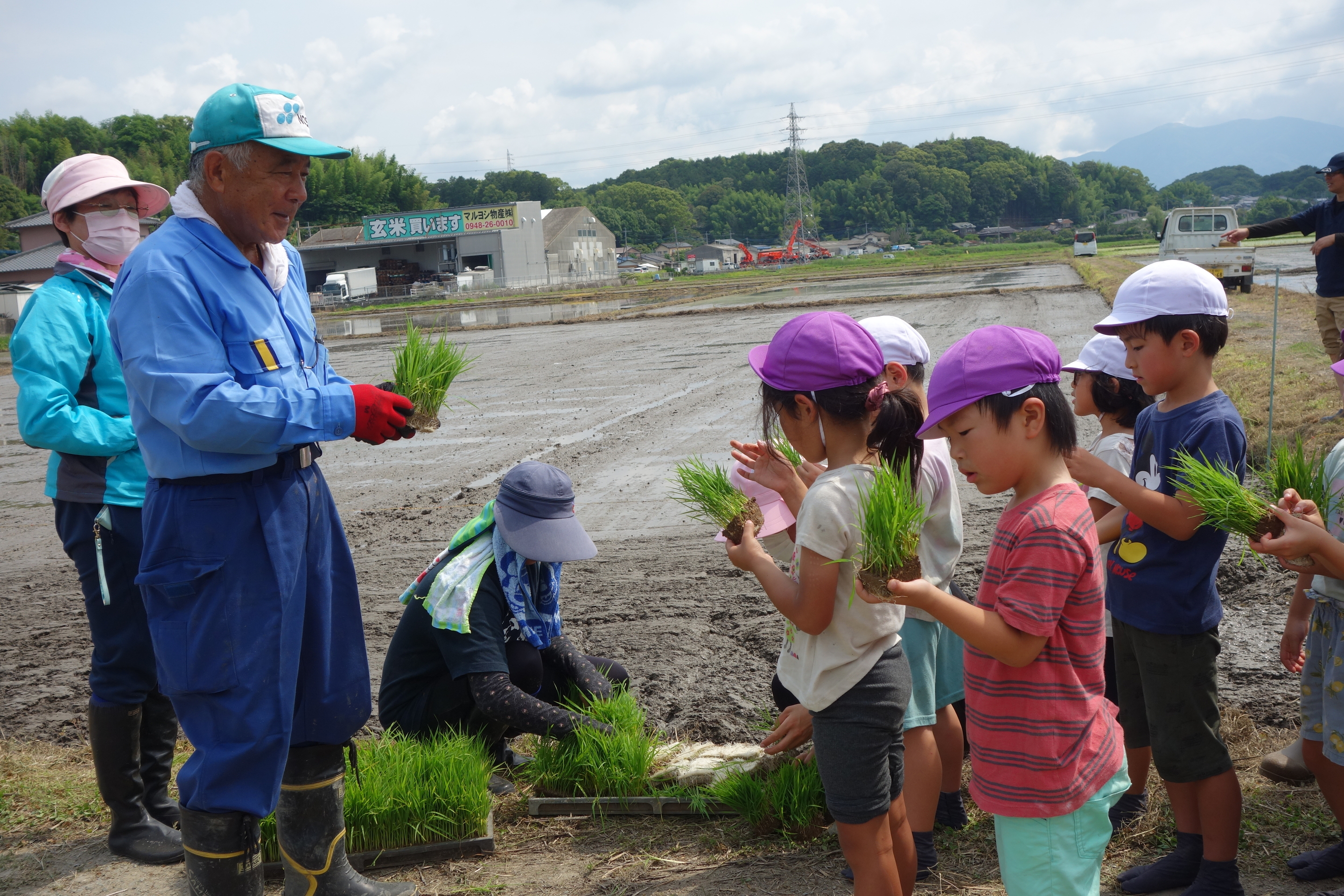 田植え23-5