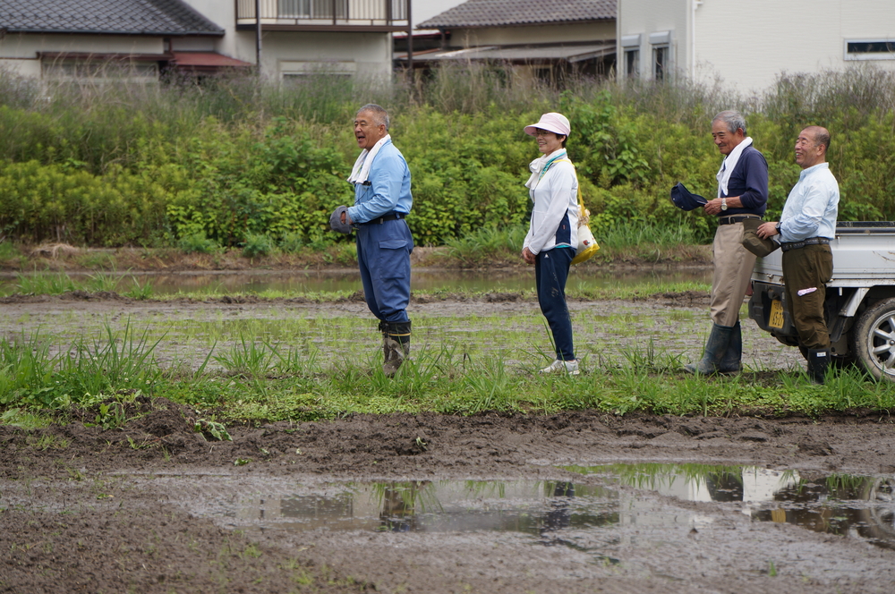 田植え25-13