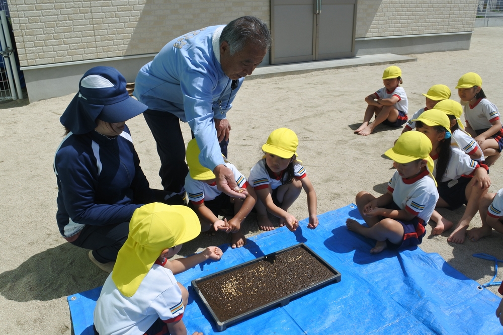 田植え25-2